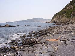 Italia Naturista - naturismo in italia