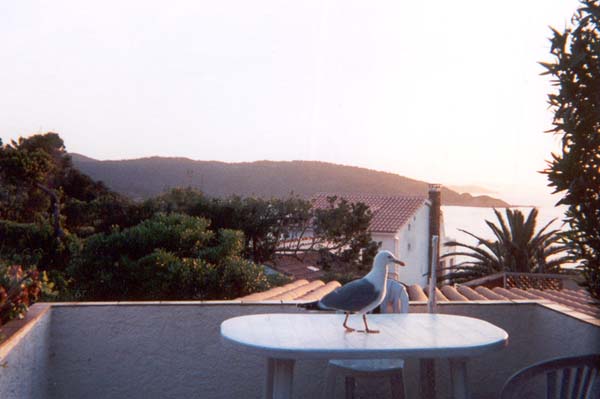 Italia Naturista - naturismo in italia