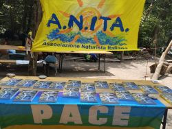 Locandina Festanita